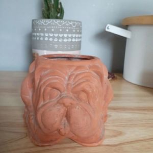 Terracora dog planter